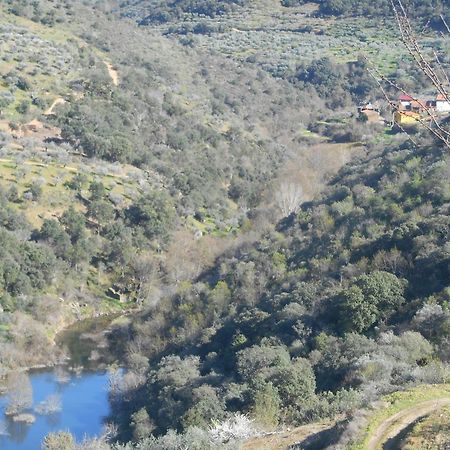 Вілла Casa Do Souto Quinta do Souto Екстер'єр фото