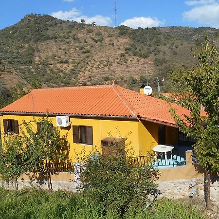Вілла Casa Do Souto Quinta do Souto Екстер'єр фото