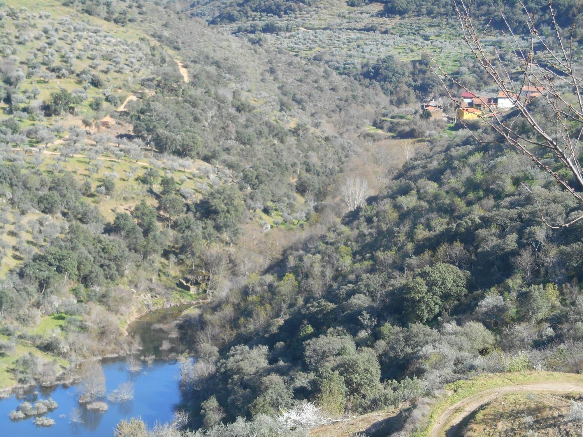 Вілла Casa Do Souto Quinta do Souto Екстер'єр фото