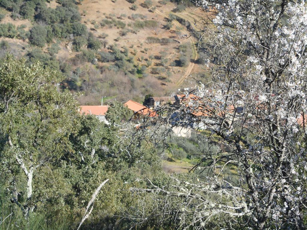 Вілла Casa Do Souto Quinta do Souto Екстер'єр фото