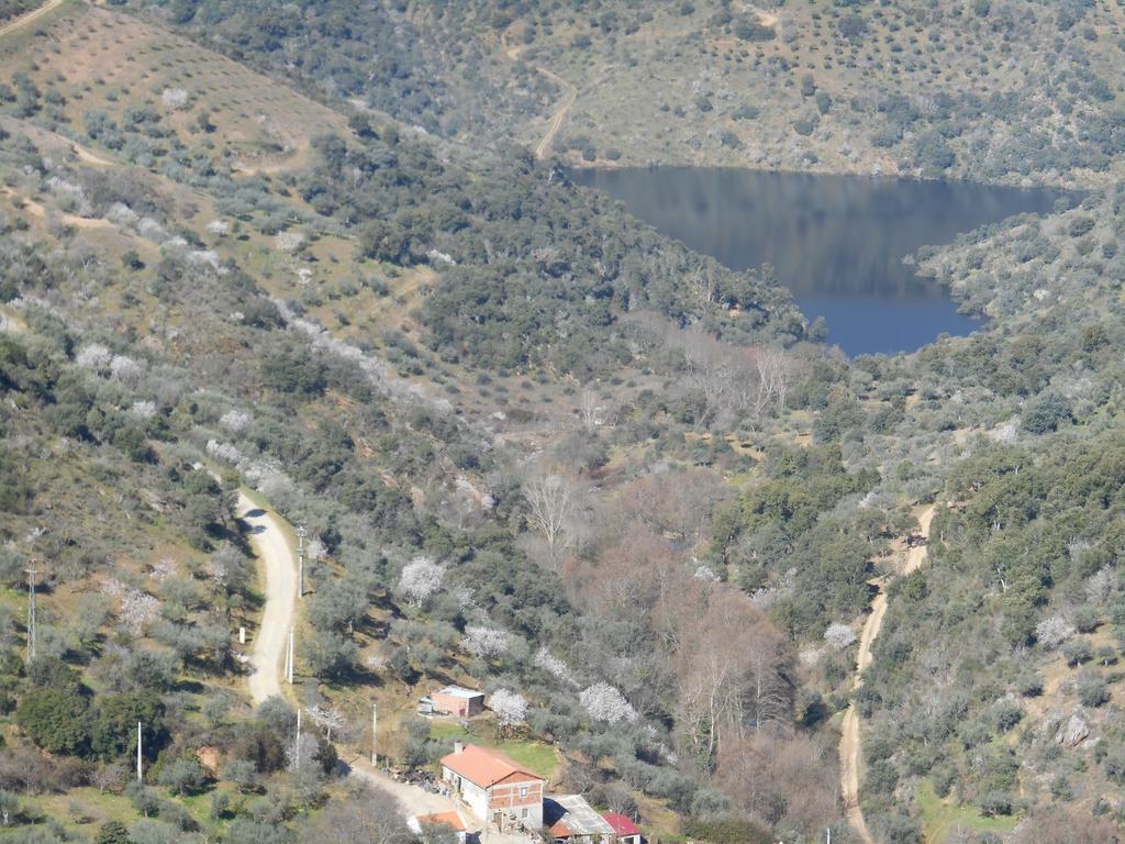Вілла Casa Do Souto Quinta do Souto Екстер'єр фото